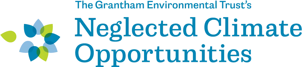 Grantham Foundation (opens in a new tab)